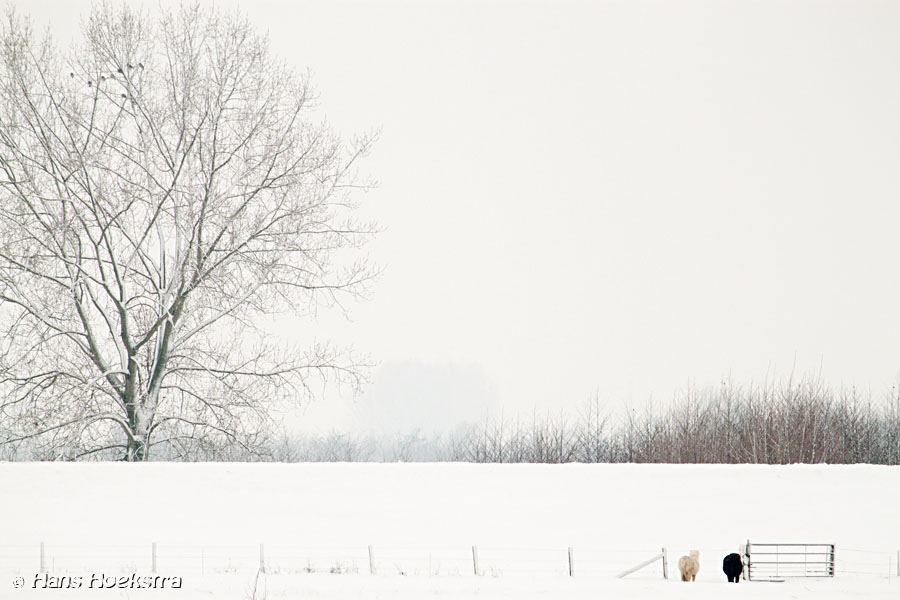 Overkant van de Rijn