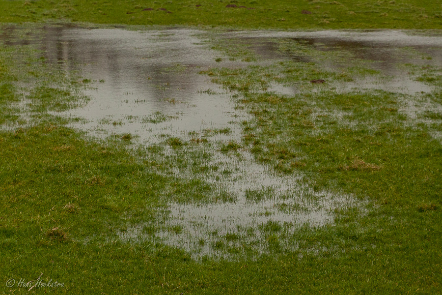 De uiterwaarde De uiterwaarde