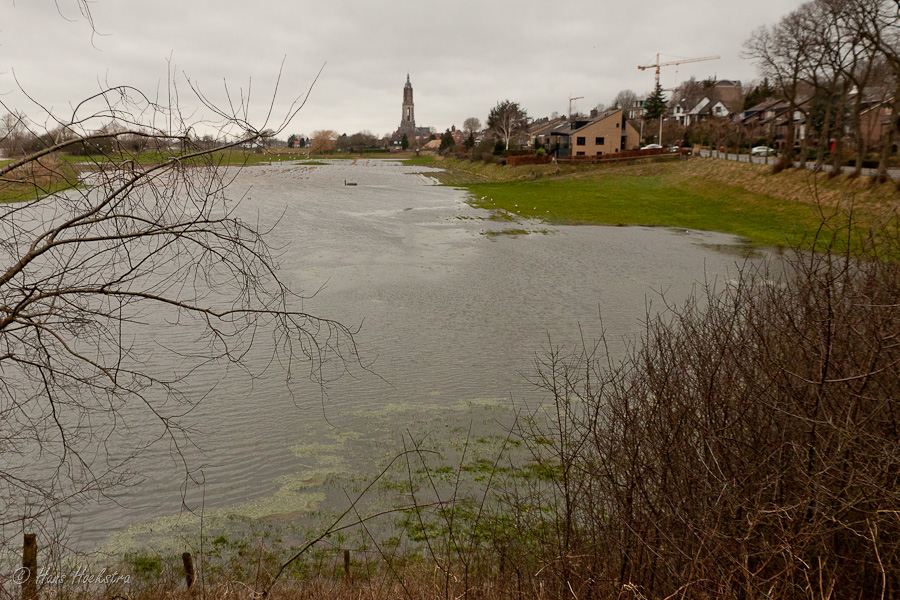 De uiterwaarde De uiterwaarde
