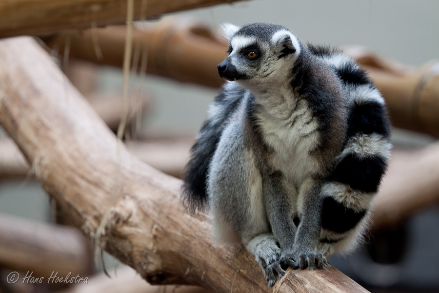 Het is een beetje fris, ik doe mijn sjaal om