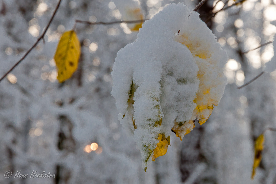 Toch nog een beetje kleur