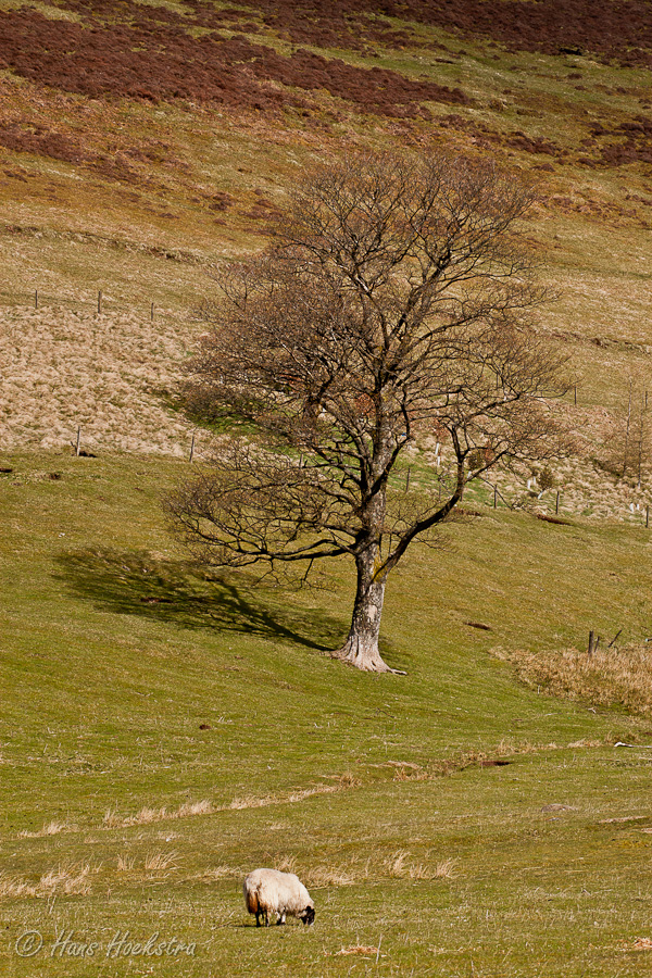 Alleen op de wereld?