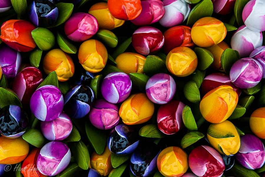 Wooden Tulips from Marken