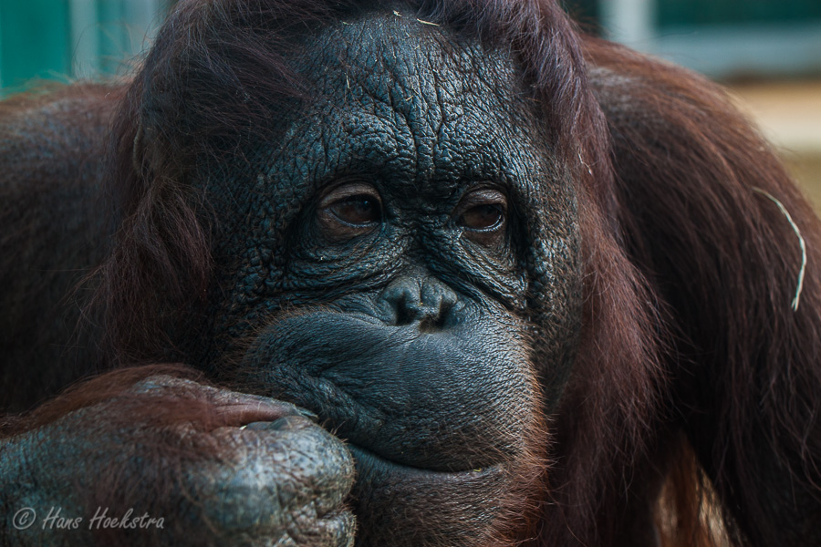 Tja, wat moet ik daar nou van denken